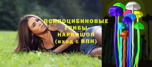 а пвп мука Абаза